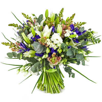 חמימות חורפית