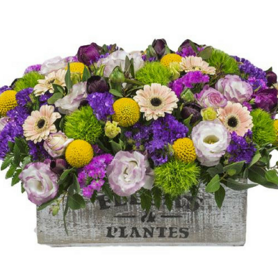 סידור פרחים צבעוני