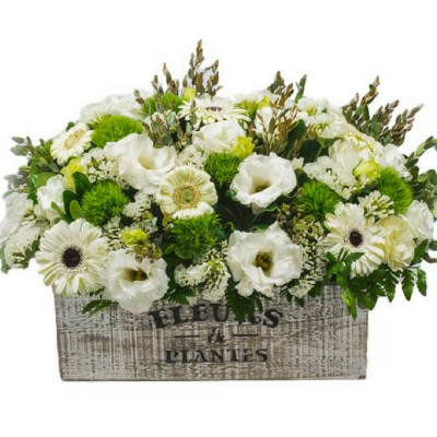 סידור פרחים לבנים