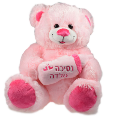 נסיכה נולדה